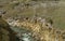 Shoshone River flowing below rock formations and buttes along North Fork Highway in Wyoming