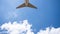 Shot of the aircraft tail on the blue sky background