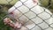 Shot of an albino nutria taking food from the hands.