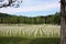 Shot of the american military cemetery of the second world war with the crosses of the dead soldiers resting under a beautiful