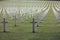 Shot of the american military cemetery of the second world war with the crosses of the dead soldiers resting under a beautiful