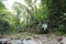 Shot of Argyle waterfalls in the Caribbean, Roxborough, Trinidad & Tobago