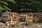 Shot of big piles of firewood stacked on each other and wrapped in white metals in the forest