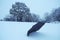 Shot of a black umbrella left on the snow, woods on the background