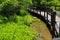 A shot of a brown wooden bridge over the water in a marsh surrounded by lush green trees and plants over silky brown water