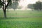 Shot of child with man running and playing in a natural setting with a green feild with a tree and sunlight dappled