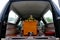 Shot of a colorful casket in a hearse or chapel before funeral or burial at cemetery