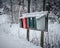 Shot of colorful mailboxes on a wood covered in the snow surrounded by trees on a blurry background