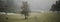 Shot of cows in a foggy farmland