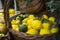 Shot of a decoration with artificial lemons .  close up