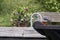 Shot of flowers, bench and a metal fence in a park