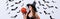 Shot of girl in black witch Halloween costume kissing carved spooky pumpkin near white wall with decorative bats