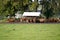 Shot of a group of cattles in the farm