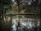 Shot of the Lambro Park in Milan in autumn