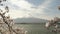 shot of mt fuji framed by large two cherry branches in bloom at a lake