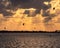 Shot of an ocean where people are water kitesurfing under a cloudy sky with sunlight