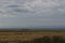 Shot of an open field with a waterscape on the background on a gloomy day