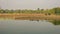 Shot of people canoeing in a lake  near a forest