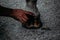 Shot of a person working with a Horse farrier, hoof and metal work to make horse shoes