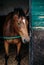 Shot of a person working with a Horse farrier, hoof and metal work to make horse shoes