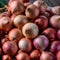 shot Pile of fresh onions evokes the essence of farm freshness