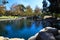 A shot of a round stone lagoon in the park surrounded by lush green and autumn colored trees with mallard ducks in the water