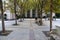 A shot of rows of gorgeous autumn colored trees in a small park on the street with stone benches and yellow fallen autumn leaves i