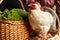 Shot of small hen, standing on basket full fresh-laid of eggs