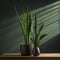 shot of a Snake Plant (Sansevieria), with its tall, sword-shaped leaves reaching towards the sky by AI generated