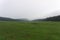 Shot of a spacy grassy field with coniferous trees and hills in the background during mist