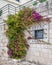 Shot of a stone wall with a caged window covered in greens