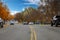 A shot of a street with a yellow line in the center with parked cars along the street and gorgeous autumn colored trees