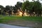 A shot of the sun peaking through the trees at the park at sunset with lush green trees and grass and people relaxing in the park