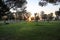 A shot of the sun peaking through the trees at the park at sunset with lush green trees and grass and people relaxing in the park
