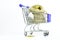 Shot of a tiny sack of golden coins in a shopping cart  on a white background with copy space
