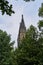 Shot of towers of St Peter and St Paul Basilica in Prague with greenery on the foreground