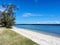 Shot of trees growing on the sandy seashore, skyscape over the tranquil blue waterscape