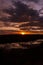 Shot through tress of a beautiful sunset in the australian outback with 1 lakes, Nitmiluk National Park, Australia