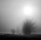 Shot of two people walking in a dangerous foggy field during sunrise