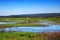 Shot of the variety of wildlife,  in mary river national park near kakadu