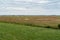 Shot of a vast valley with vineyard and some trees and hills on the horizon