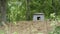 shot of a white watchdog sitting in a kennel in the forest