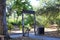 A shot of a wooden gateway to railroad tracks surrounded by lush green trees in the forest