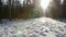 This is a shot of a young couple in love walking in picturesque winter park with snow holding hands at sunny day.