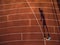 Shot of a young male athlete training on a race track