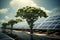 A shot of young trees and solar panels symbolizing the interaction of nature and technology