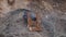 Shotgun blast on an old stool at the shooting range. Pieces of the stool fly in different directions.