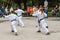 Shotokan karate