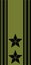 Shoulder pad military NATO officer insignia of the Norwegian OBERSTLÃ˜YTNANT SENIOR FIELD GRADE MILITARY OFFICER