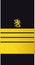 Shoulder sleeve pad military officer insignia of the Finland Navy AMIRAALI (ADMIRAL)